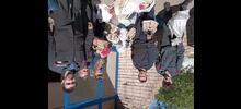 Итоги акции Иппотерапия детям